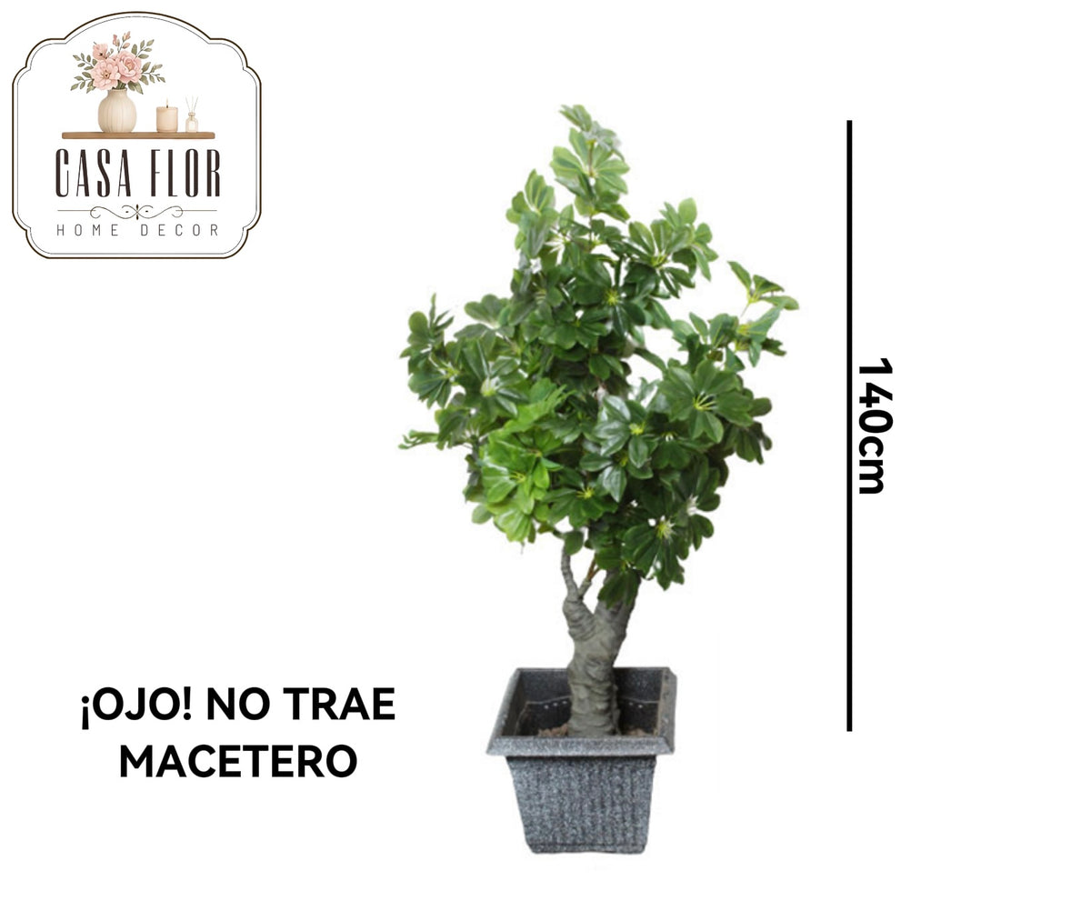 Planta artificial del dinero #248909