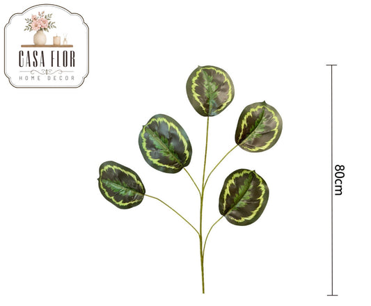 Hoja artificial calathea medallion #358172