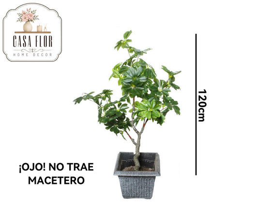 Planta artificial del dinero #248916