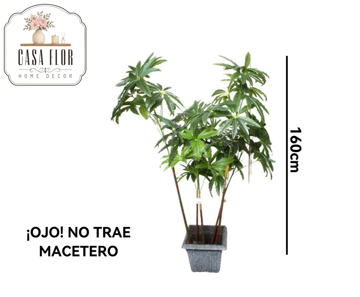 Planta artificial del dinero #248923