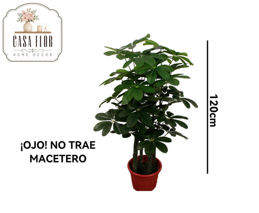 Planta artificial schefflera #245854