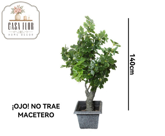Planta artificial del dinero #248909